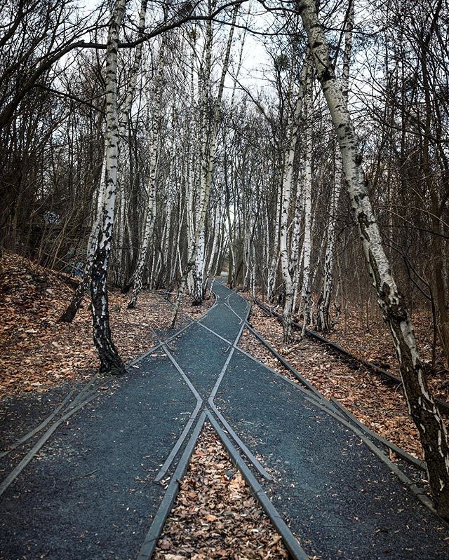 Natur-Park Südgelände