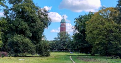 Il Volkspark Jungfernheide: tra spiagge, birre e natura!