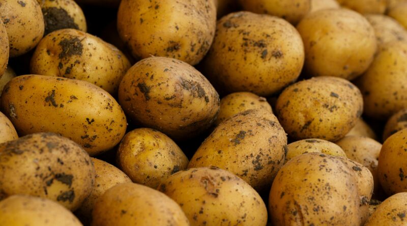 A Berlino le patate sono gratis!