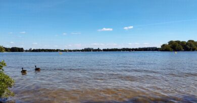Laghi di Berlino: dove trovare spiagge, docce e spogliatoi per una giornata senza pensieri