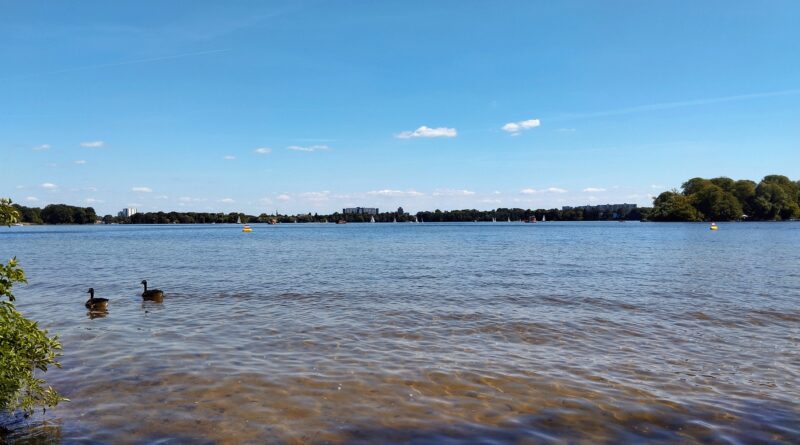 Laghi di Berlino: dove trovare spiagge, docce e spogliatoi per una giornata senza pensieri